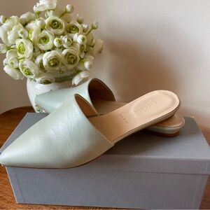 Everlane The Pointed Slides Leather Mule, Mint Green, 7.5